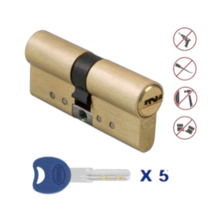 Κύλινδρος Ασφαλείας Amig 31-31 Χρυσό (Model 10000)