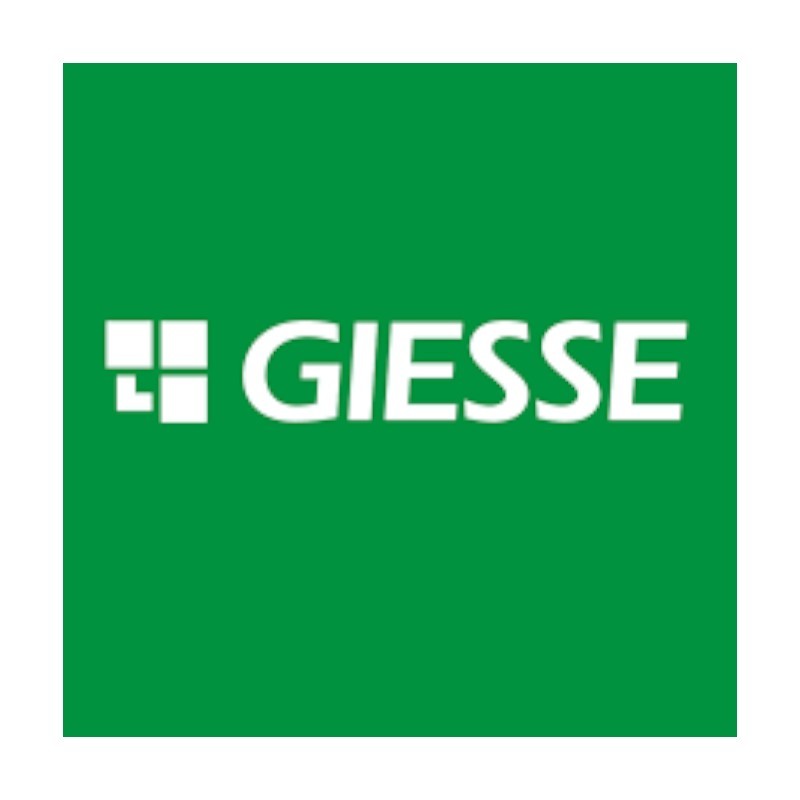 GIESSE