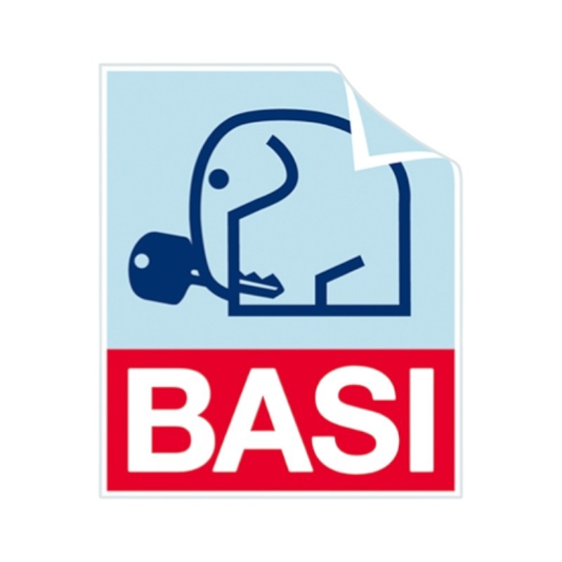 BASI